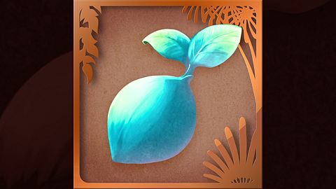 Débutant en échange