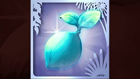 Maître des échanges