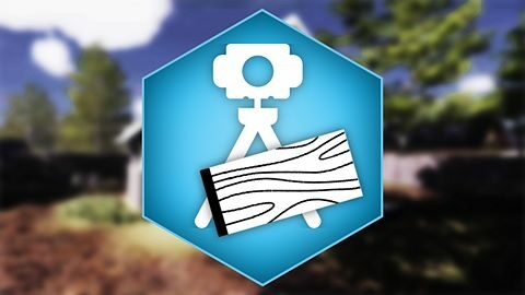 Automatic Plank Measurement