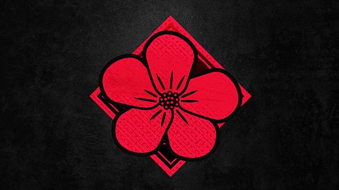 Soucis jaunes et elle