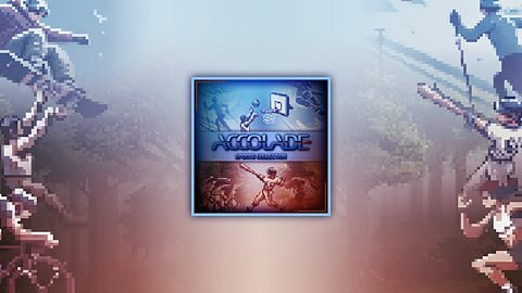 Accolade Sports Collection