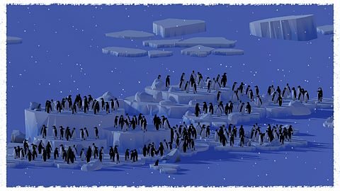 All in black and white