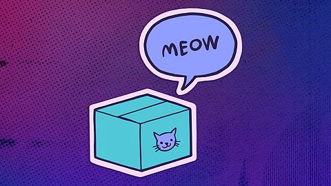 Le chat de Schrödinger