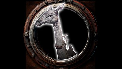 Les marais d'Amerzone