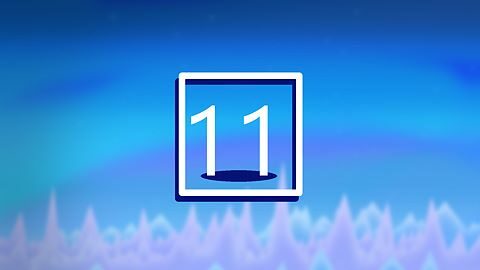 Level 11