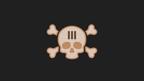 Niveau de survie III