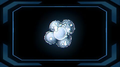 Les biomatériaux font le bonheur