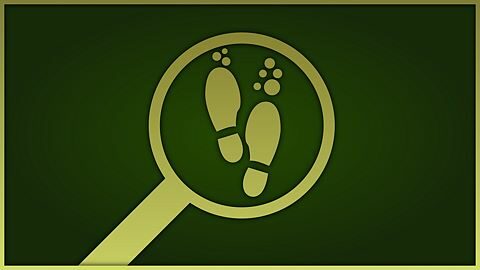 You make a better rat than human