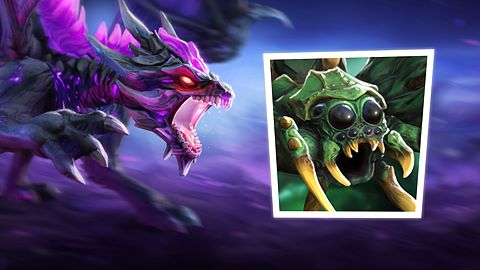 Araignée trop mignonne