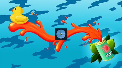 Window cleaning service