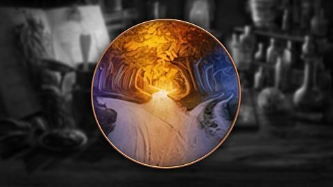 Best of the Wolf Kind.