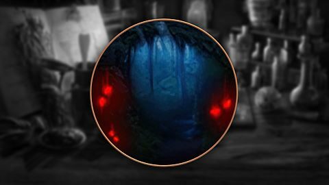 Deep into the woods.