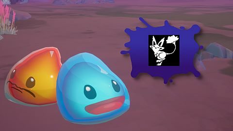 Hopping, Helping, Healing