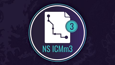 ZGN : Le roi du château