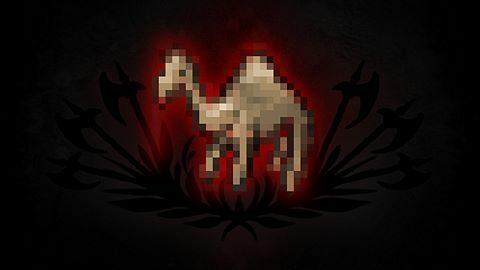 Montez sur un chameau