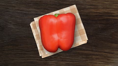 Your Career Starts Here.