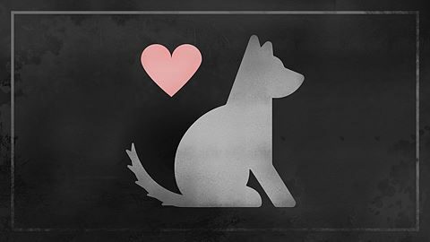 Who Let The Dogs Out