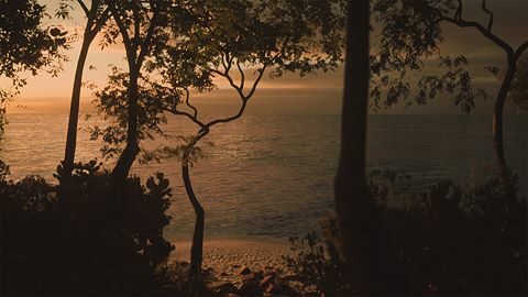 Terminer Castle Rock Beach
