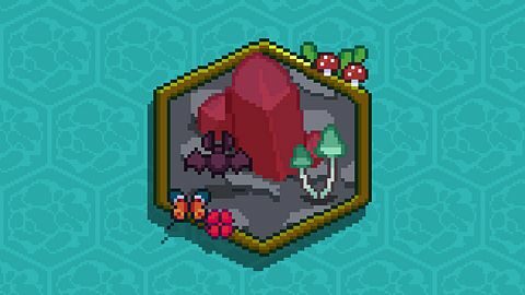 Experienced Traveler