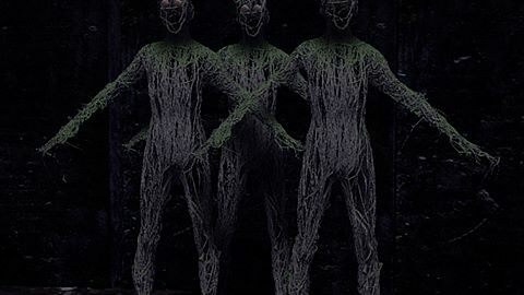 Explorez les bois effrayants ensemble