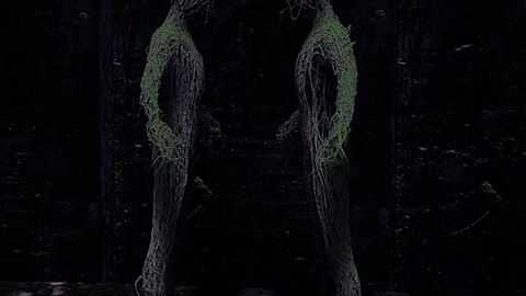 Qui se soucie de l'équipe ?