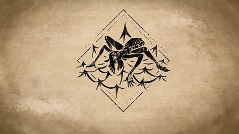 Des toiles et des femmes