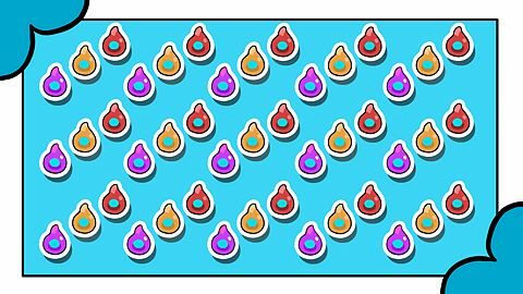 Veggie Venture Veteran