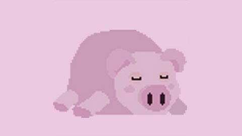 Found Puddle the pig.