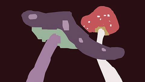 The land of mushrooms.