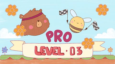 Level 03 Pro