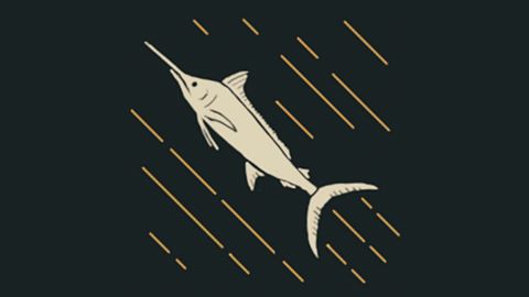 Blue Beast Ballistics