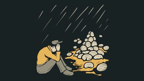 Major Melon Misfortune