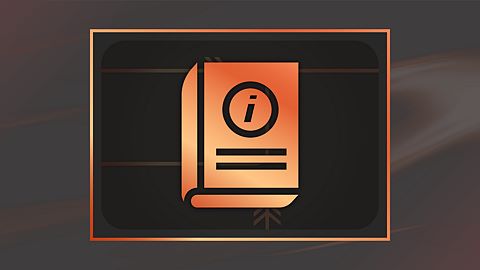 Direction d'écurie pour les nuls