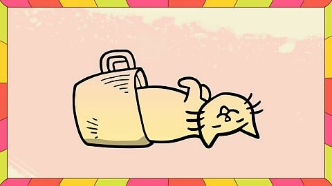 Hidden Kitchen Kittens