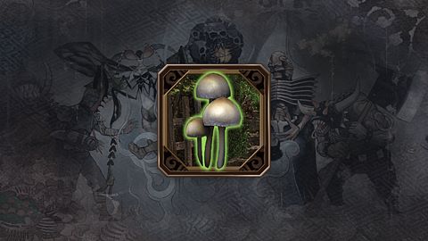 Attention aux champignons