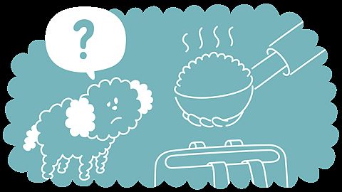 Riz cuit à la vapeur