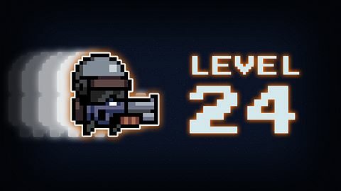 Level 24