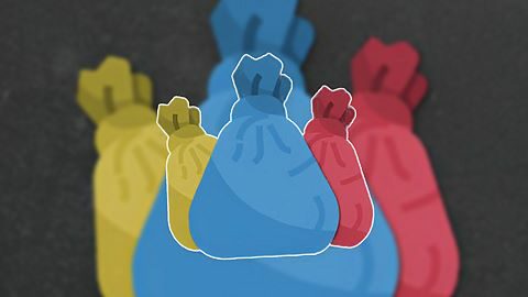 Collector specialist