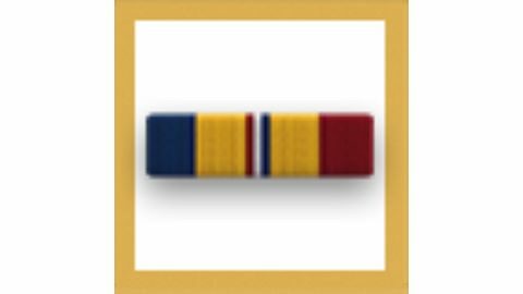 Combat Action Ribbon