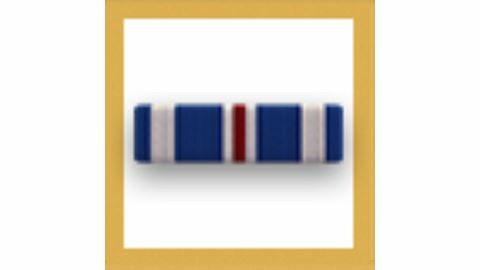 Distinguished Flying Cross