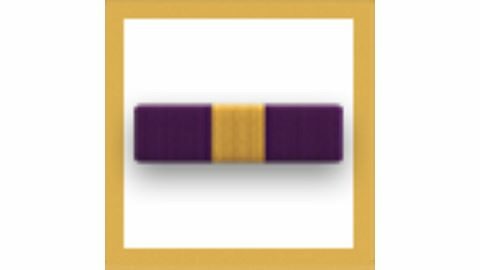 Distinguished Service Meda