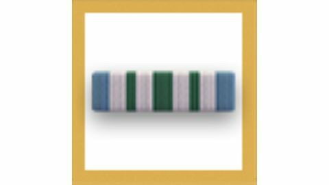 Joint Service Commendation Medal
