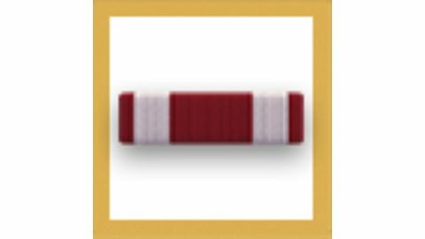 Meritorious Service Medal