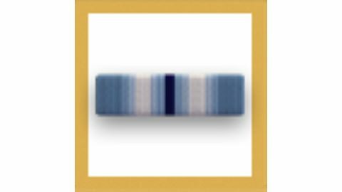 Navy Arctic Service Ribbon