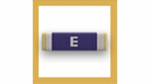 Navy E Ribbon