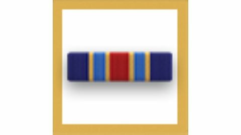 Navy Fleet Marine Force Ribbon