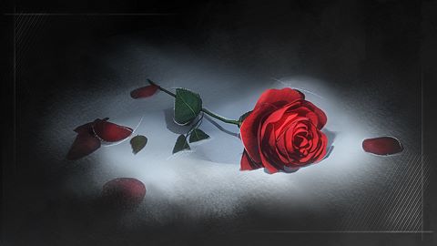 The Rose's Memory