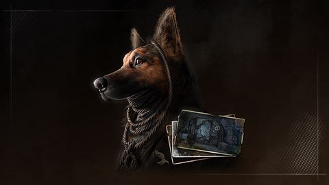 Traqueur de sombres secrets