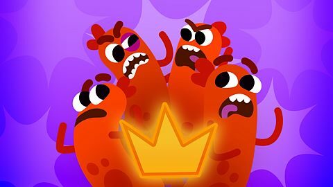 Teamwork Makes Dreams Work