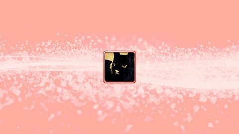 Feeding the Wolf Cub